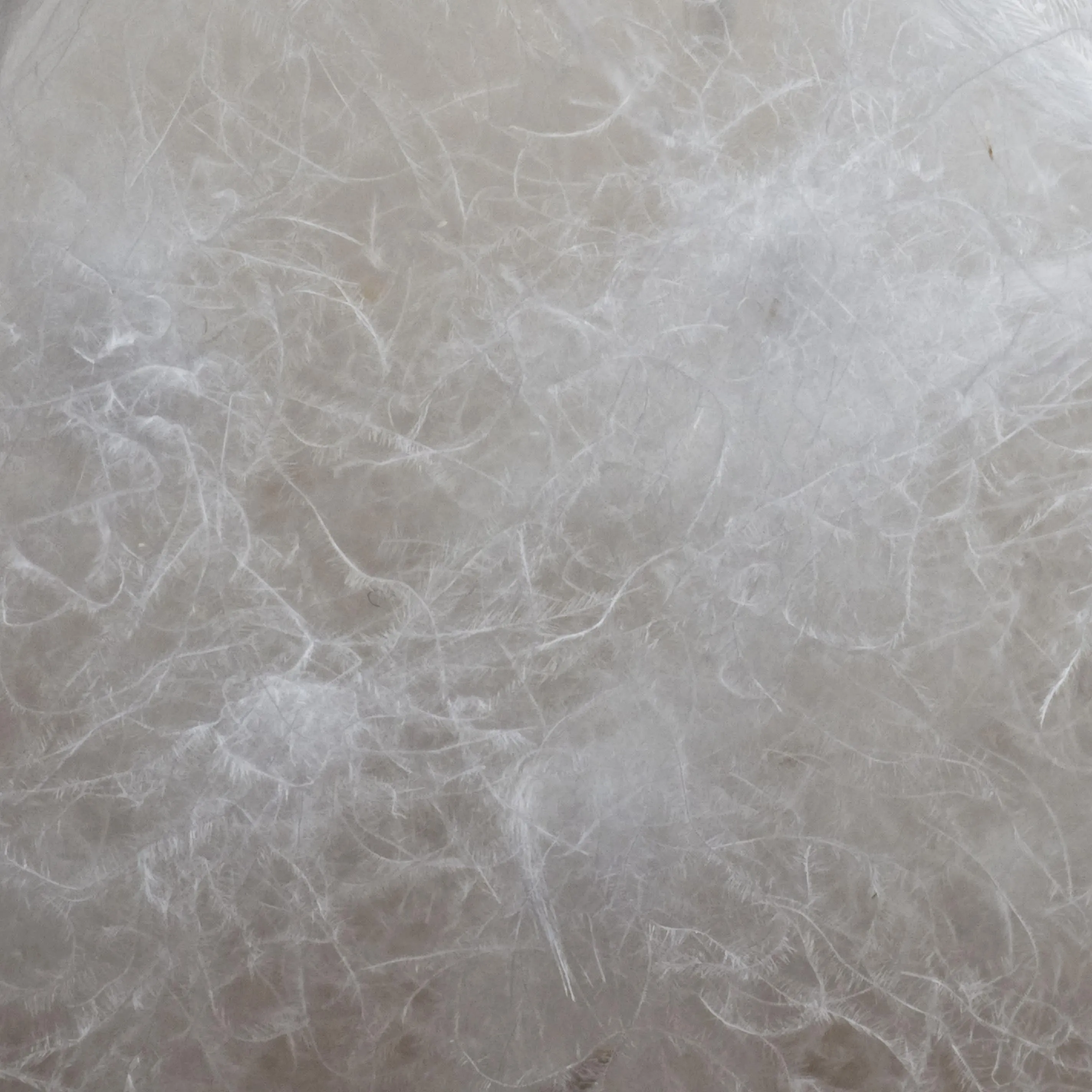 Polahr Autumn Duvet [White]